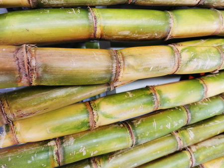 fresh sugar cane texture as nice food background