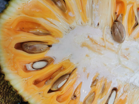slice of jackfruit texture as exotic food background
