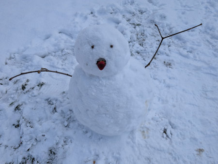 very small snowman in the white winterの写真素材