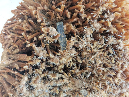 gypsum mineral texture as nice natural backgroundの写真素材