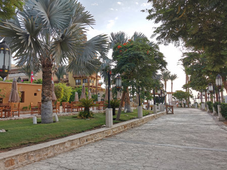 Egypt beach Red Sea Makadi Bay in the morningの写真素材