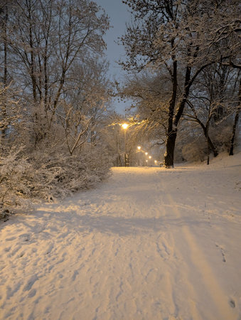 winter Ostrava city Christmas in the Decemberの写真素材