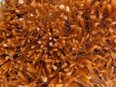 gypsum mineral crystal texture as nice natural backgroundの写真素材