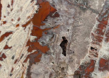agate mineral texture as very nice natural backgroundの写真素材