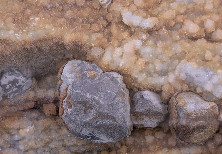 gypsum mineral crystal texture as nice natural background