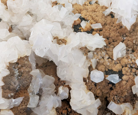 gypsum mineral crystal isolated on the black backgroundの写真素材