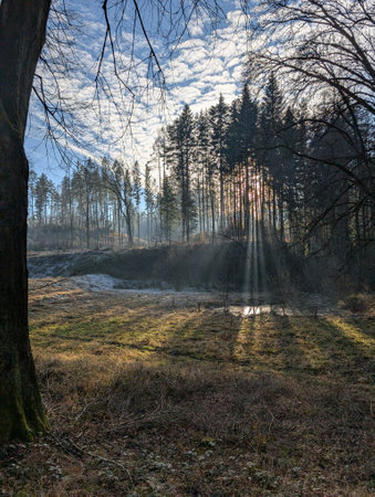 sunset in the autumn forest Vidnava Czech Republicの写真素材