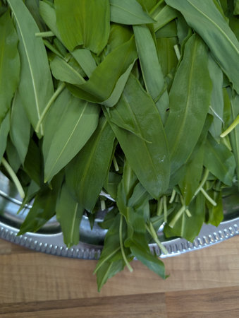 wild garlic plant as nice natural background