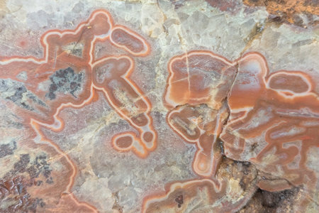 agate mineral texture as very nice natural background