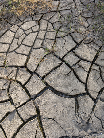 dry soil texture as very nice backgroundの写真素材