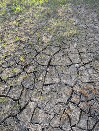 dry soil texture as very nice backgroundの写真素材