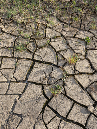dry soil texture as very nice backgroundの写真素材