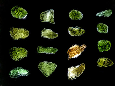 moldavite collection mineral isolated on the black background
