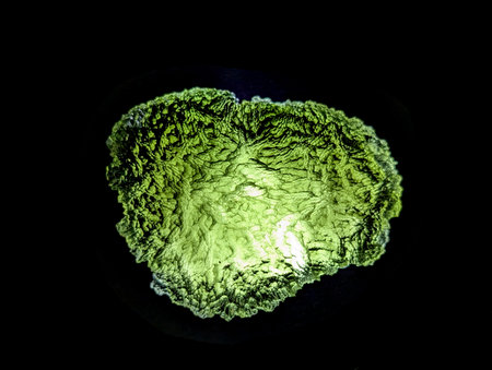 moldavite mineral isolated on the black backgroundの写真素材