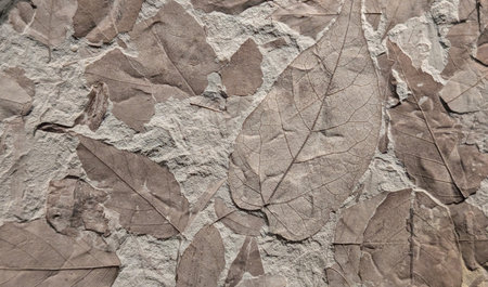 meteorite mineral texture as very nice natural backgroundの写真素材