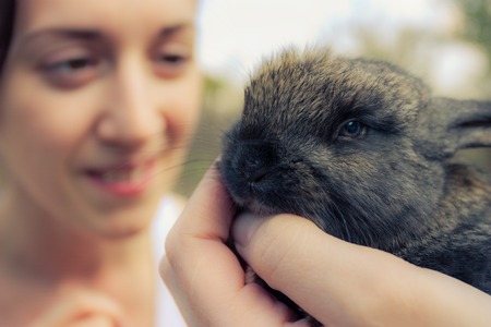 A young woman and a gray rabbit. Photo