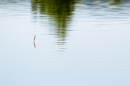 Red bobber signs in water with green reflection. Horizontally framed shot.の写真素材