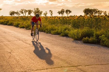 A cyclist in red blue form rides on a road bike along fields of sunflowers. Horizontally framed shot.の写真素材