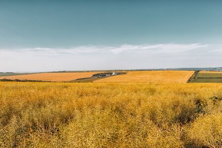 Orthodox Church among the fields of wheat. White Church and outbuildings. Agricultural fields. Horizontally framed shot.の写真素材