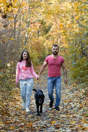 A young beautiful couple and their labrador walk in the Park. A man holding a woman's hand. Warm autumn evening in the forest. Vertically framed shot.の写真素材