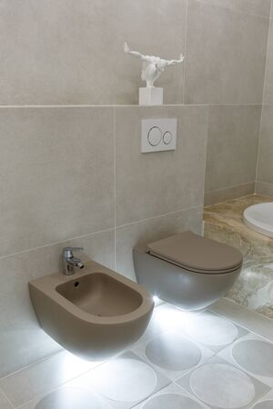 Brown toilet and bidet. Modern wc interior. Economic toilet white flush press with two separate buttons for flushing toilet. Bottom light. Shelf with statuette. Vertically framed shot.の写真素材