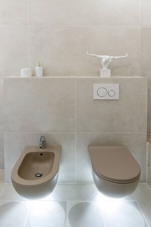 Brown toilet and bidet. Economic toilet white flush press with two separate buttons for flushing toilet. Bottom light. Shelf with bathroom accessories and a statuette. Vertically framed shot.の写真素材