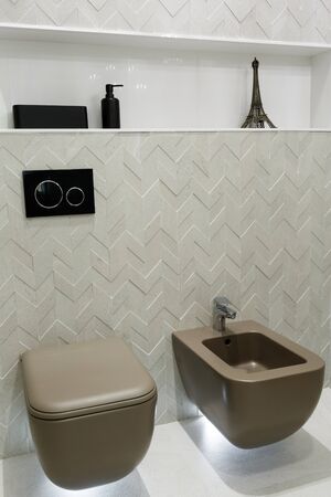 Brown toilet and bidet. Modern wc interior. Economic toilet black flush press with two separate buttons for flushing toilet. Shelf with bathroom accessories and a statuette. Vertically framed shot.の写真素材