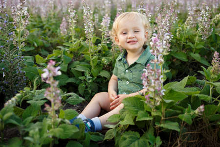A cute little boy in a lavender field.の写真素材