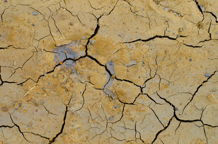 Cracks and fissures in the dry earth create beautiful, richly textured images.の写真素材
