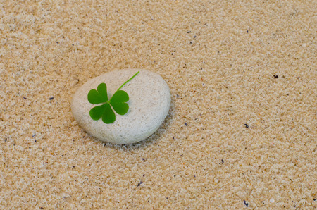 A clover leaf arranged on a beach pebble with beach sand in the background.の写真素材
