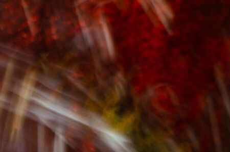 A rich and visually compelling modern fine art abstract image is created from coral tree seeds and porcupine quills on a chocolate brown hessian background.の写真素材