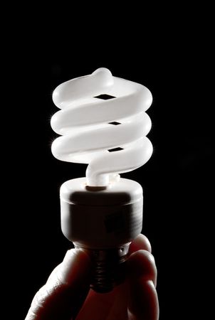 Human hand holding cfl lightbulb