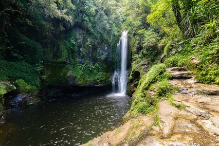 Kiate Falls in Tauranga, New Zealandの写真素材