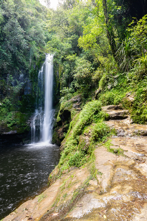 Kiate Falls in Tauranga, New Zealandの写真素材