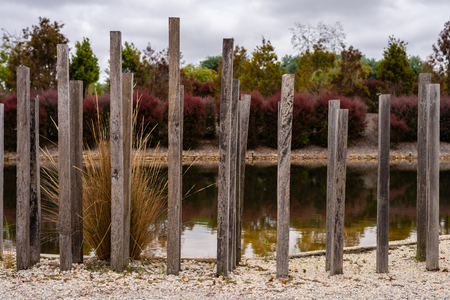 Feature Water Garden in the Royal Botanic Gardens Victoriaの写真素材