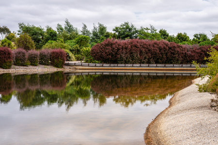 Feature Water Garden in the Royal Botanic Gardens Victoriaの写真素材