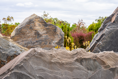 Stone Slate Feature Wall in the Royal Botanic Gardens Victoriaの写真素材