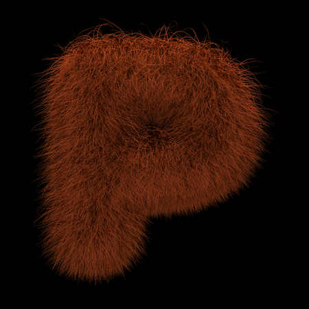 Illustration 3D Rendering Creative Illustration Ginger Orangutan Furry Letter Pの写真素材