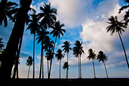 east coast of malaysia the states of terengganuの写真素材