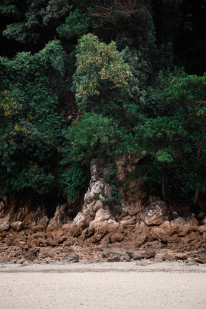 Tropical beach with trees and rocks Port Dickson, Malaysiaの写真素材