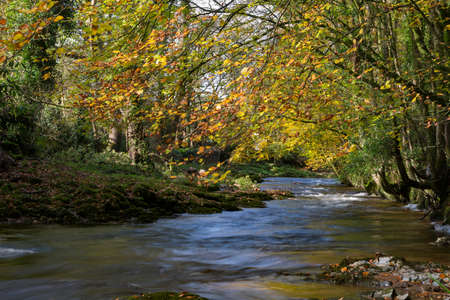 The River Avon at Avonwick South Devon, UK.の写真素材