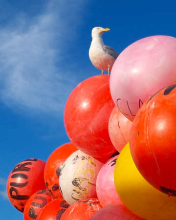 Seagull sat on top of colourful (colorful!) fishing buoys with blue skies behindの写真素材