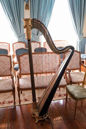 Photo of a very old wooden harp