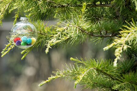 Glass ball with colored accessories inside, handmade decorating a pine tree in the garden of my...