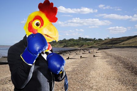 chicken businessman boxing in the beach 