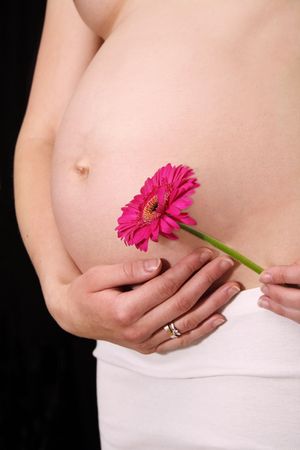 Pregnant woman holding her belly and pink flower の写真素材