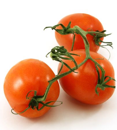 Fresh, ripe organic tomatoes on the vine, isolatedの写真素材