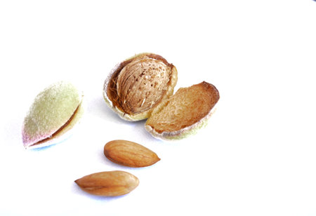 Almond nut in shell and shelled isolated on white background