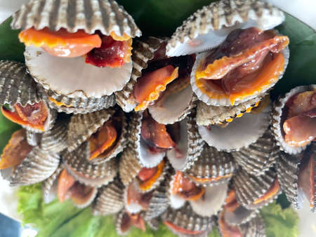 Close up fresh steamed cockle (boiledâ cocklesâ shell).の写真素材