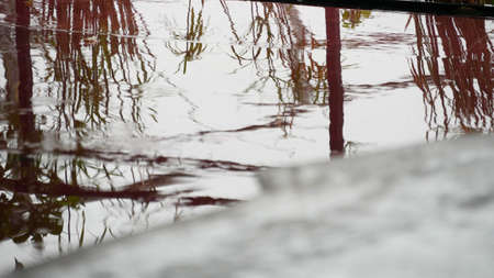 Abstract reflection of plant on river as background.の写真素材